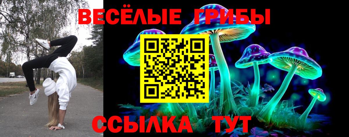 Галлюциногенные грибы Psilocybe Соликамск